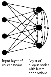 figure/competitive_neural_network_with_lateral_connections