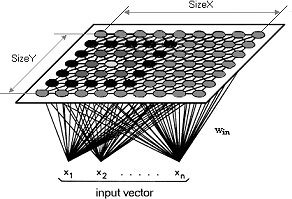 figure/som_activation